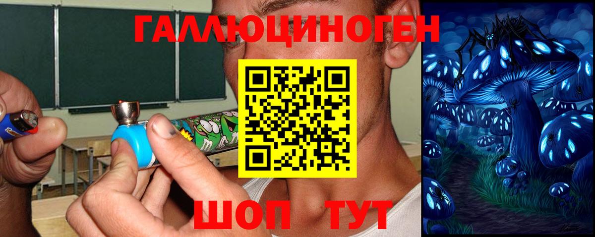 Галлюциногенные грибы Cubensis  Галлюциногенные грибы Cubensis  Вход с VPN  Торжок 